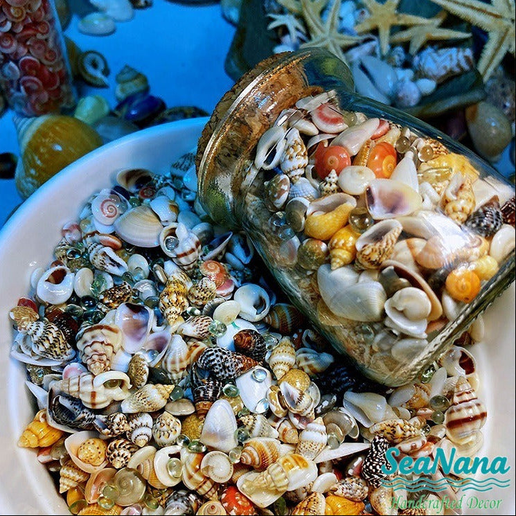 🌊Sea Treasures in a Bottle