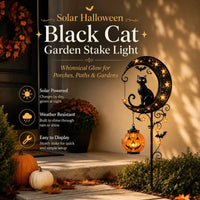 🌙 Black Cat Moon – Style B
