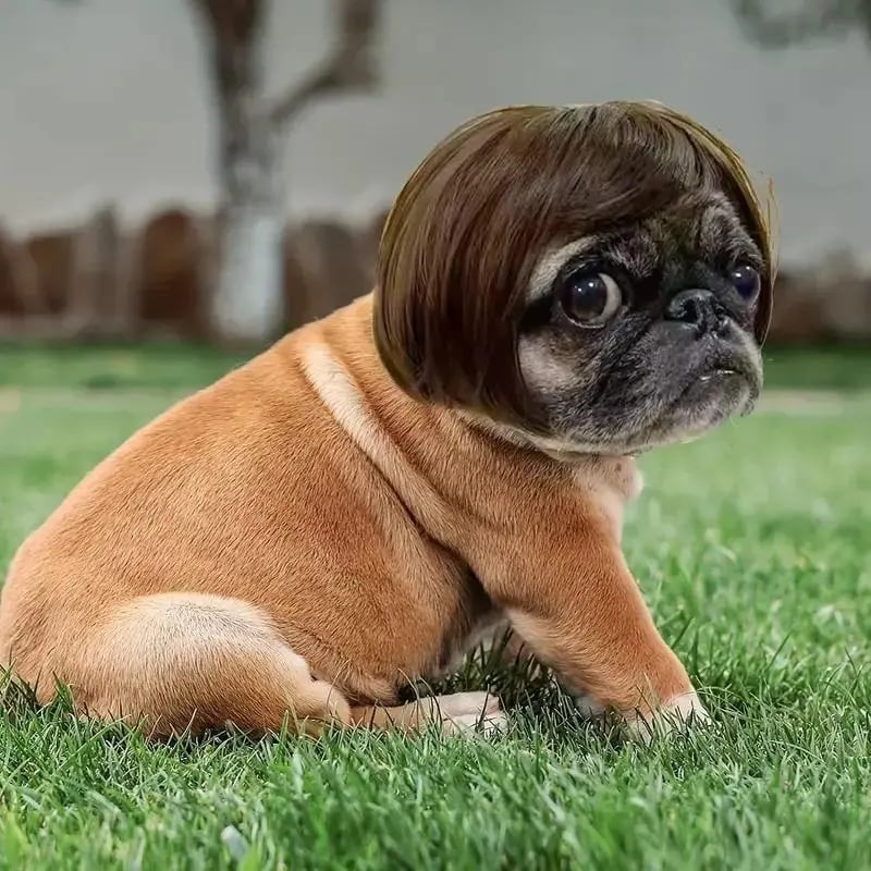 Cute Short Hair Wig Pet Headband