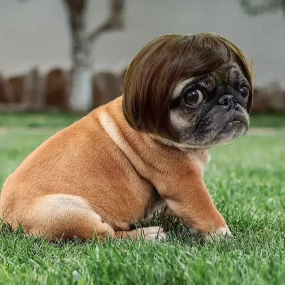Cute Short Hair Wig Pet Headband