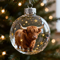 🐂Highland Cow