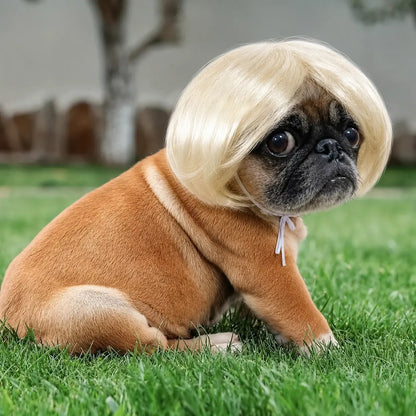 Cute Short Hair Wig Pet Headband