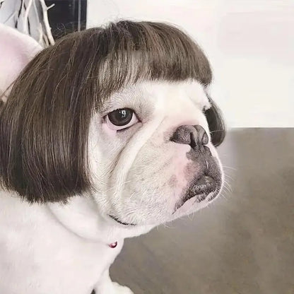 Cute Short Hair Wig Pet Headband
