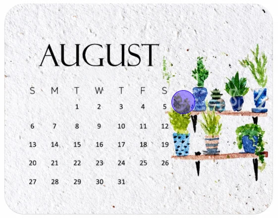 ✨Early Holiday Sale 50% OFF🌱Eco-Friendly Plantable “Timeless” Seed Calendar 2027