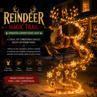 🦌 Reindeer