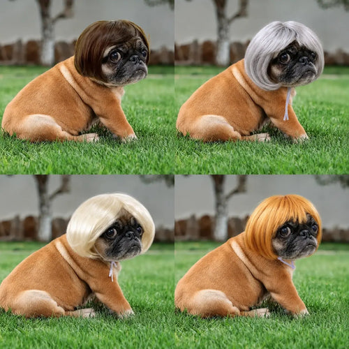 Cute Short Hair Wig Pet Headband