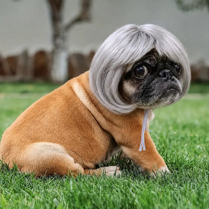 Cute Short Hair Wig Pet Headband