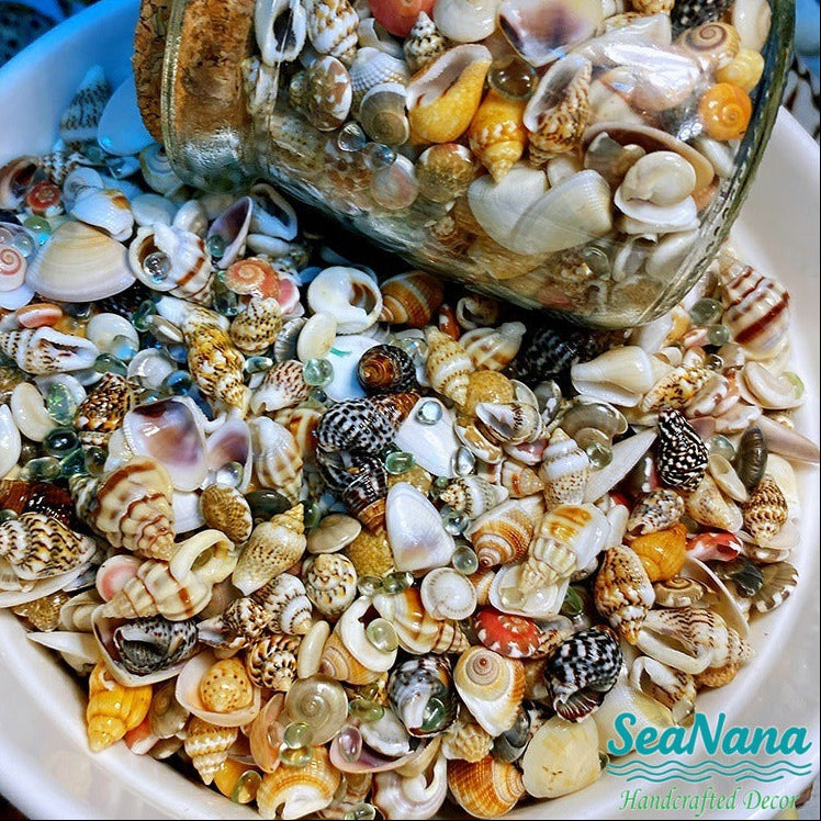 🌊Sea Treasures in a Bottle
