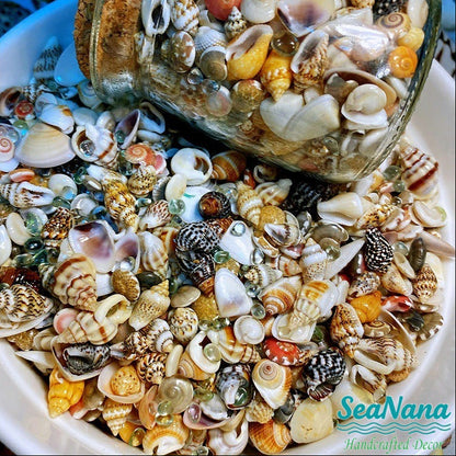 🌊Sea Treasures in a Bottle