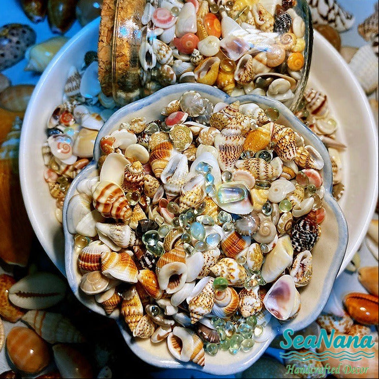 🌊Sea Treasures in a Bottle