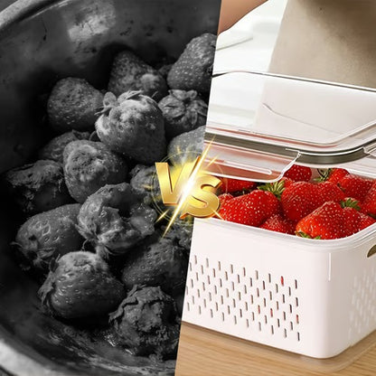 Food Storage Containers for Fridge with Removable Colander